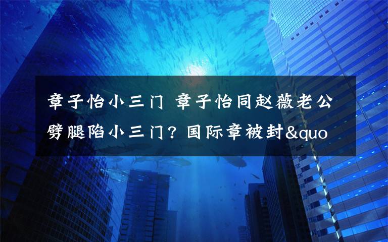 章子怡小三門 章子怡同趙薇老公劈腿陷小三門? 國(guó)際章被封"門神"