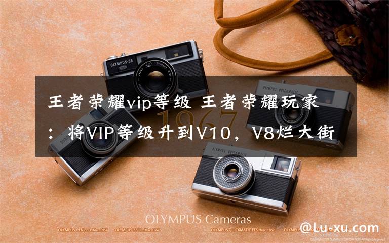 王者榮耀vip等級(jí) 王者榮耀玩家：將VIP等級(jí)升到V10，V8爛大街了?