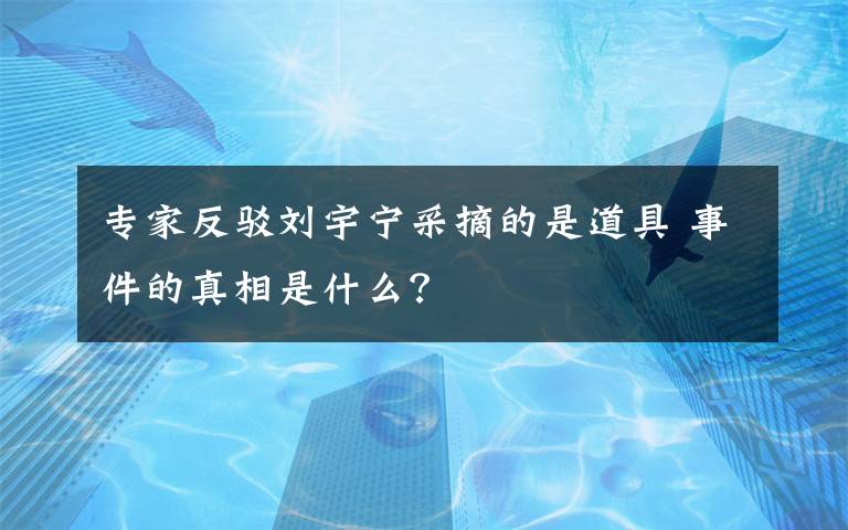 專家反駁劉宇寧采摘的是道具 事件的真相是什么？