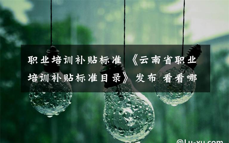 職業(yè)培訓(xùn)補(bǔ)貼標(biāo)準(zhǔn) 《云南省職業(yè)培訓(xùn)補(bǔ)貼標(biāo)準(zhǔn)目錄》發(fā)布 看看哪些職業(yè)有補(bǔ)貼