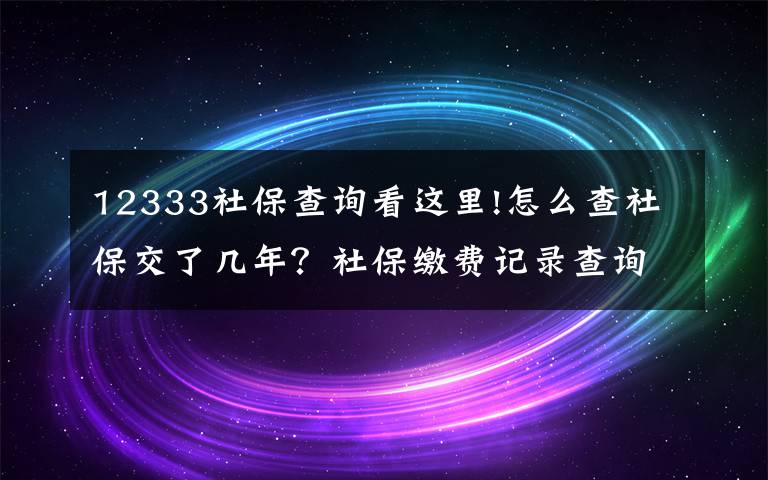 12333社保查詢看這里!怎么查社保交了幾年？社保繳費(fèi)記錄查詢方法