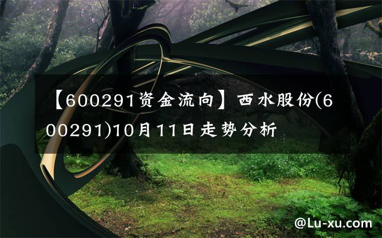 【600291資金流向】西水股份(600291)10月11日走勢(shì)分析