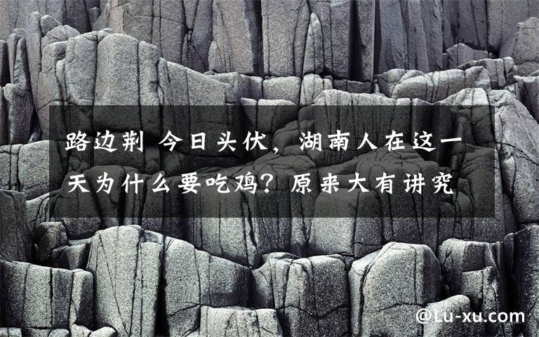 路邊荊 今日頭伏，湖南人在這一天為什么要吃雞？原來大有講究！