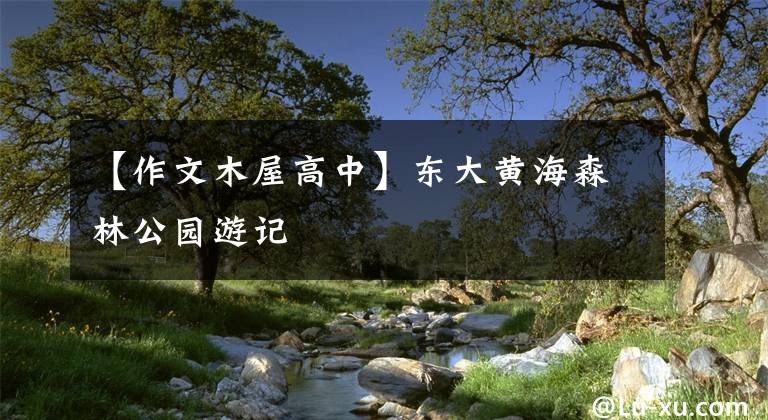 【作文木屋高中】東大黃海森林公園游記