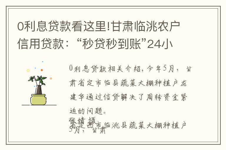 0利息貸款看這里!甘肅臨洮農(nóng)戶信用貸款：“秒貸秒到賬”24小時無利息