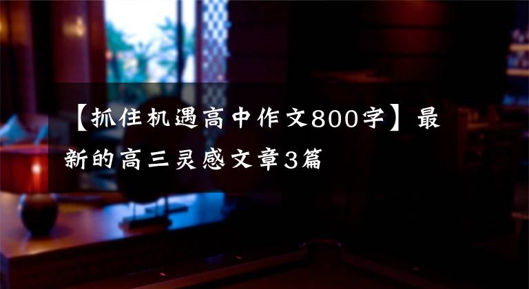 【抓住機(jī)遇高中作文800字】最新的高三靈感文章3篇