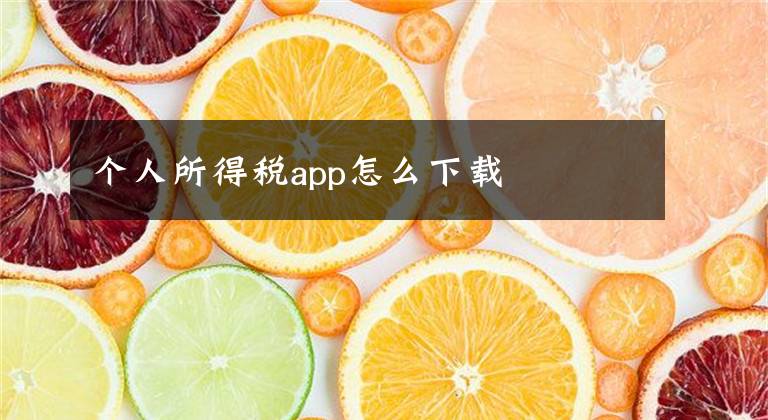 個(gè)人所得稅app怎么下載