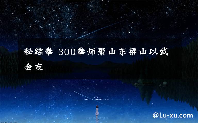 秘蹤拳 300拳師聚山東梁山以武會友