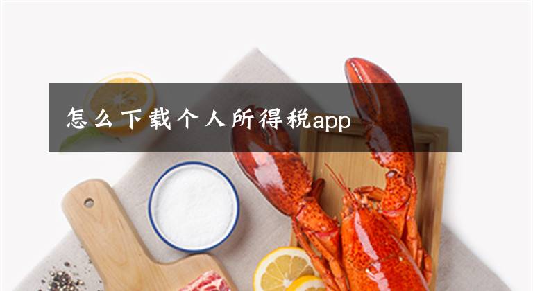 怎么下載個(gè)人所得稅app