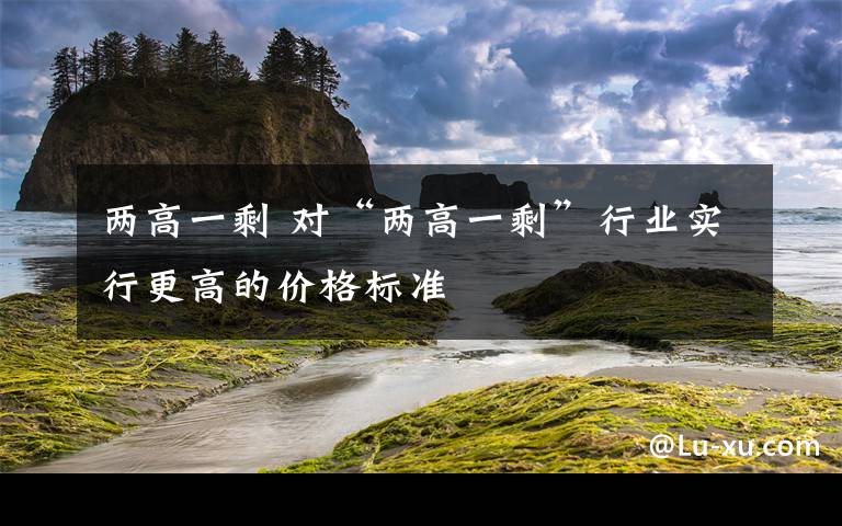 兩高一剩 對“兩高一?！毙袠I(yè)實行更高的價格標準