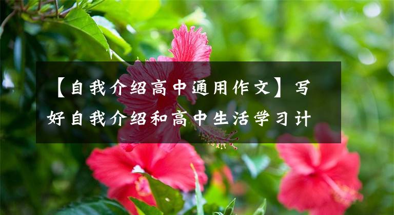 【自我介紹高中通用作文】寫好自我介紹和高中生活學(xué)習(xí)計(jì)劃的第一個陽光男孩