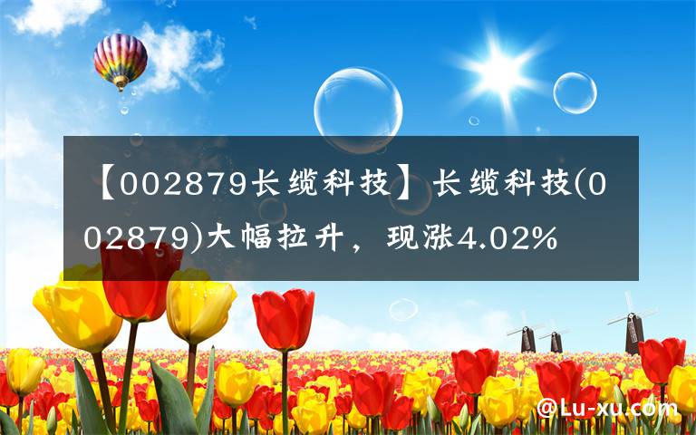 【002879長纜科技】長纜科技(002879)大幅拉升，現(xiàn)漲4.02%