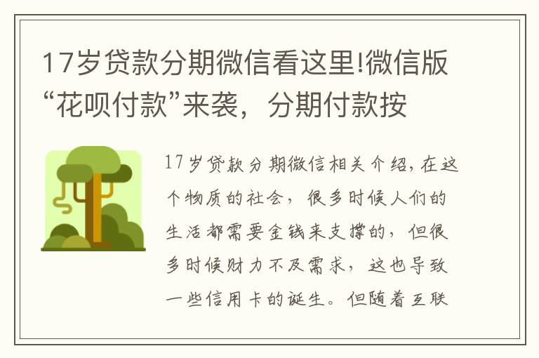 17歲貸款分期微信看這里!微信版“花唄付款”來襲，分期付款按天計(jì)息，11億用戶的福音！