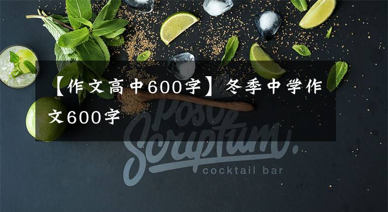 【作文高中600字】冬季中學(xué)作文600字