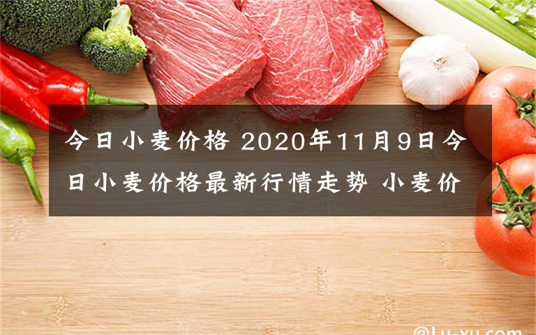 今日小麥價格 2020年11月9日今日小麥價格最新行情走勢 小麥價格一覽表