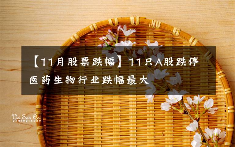 【11月股票跌幅】11只A股跌停 醫(yī)藥生物行業(yè)跌幅最大