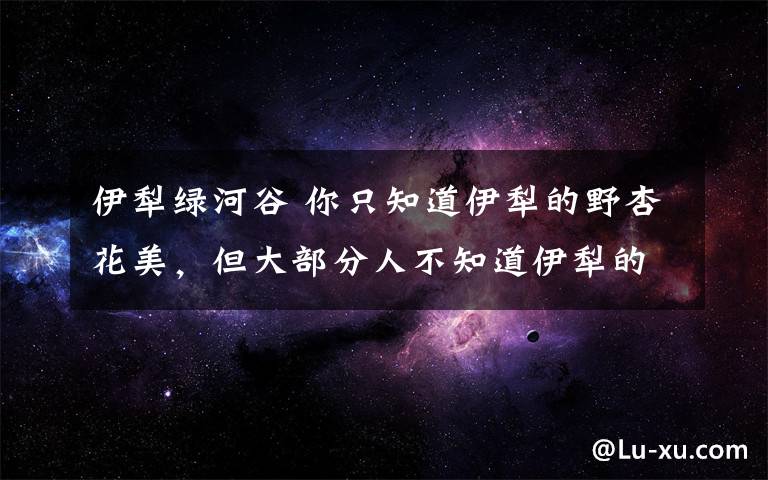 伊犁綠河谷 你只知道伊犁的野杏花美，但大部分人不知道伊犁的大白杏甜！