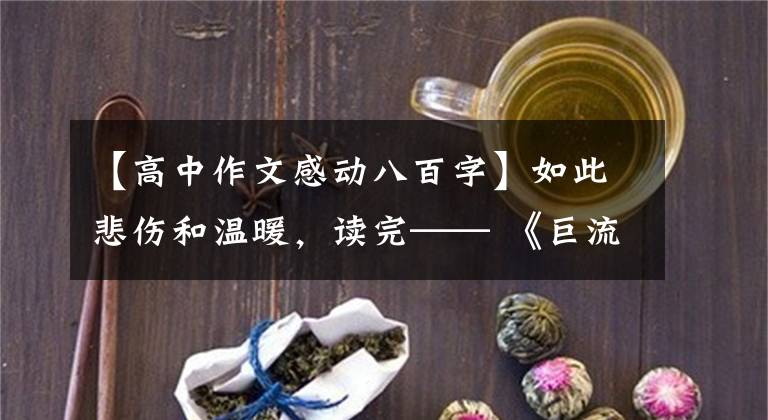 【高中作文感動(dòng)八百字】如此悲傷和溫暖，讀完—— 《巨流河》之后，