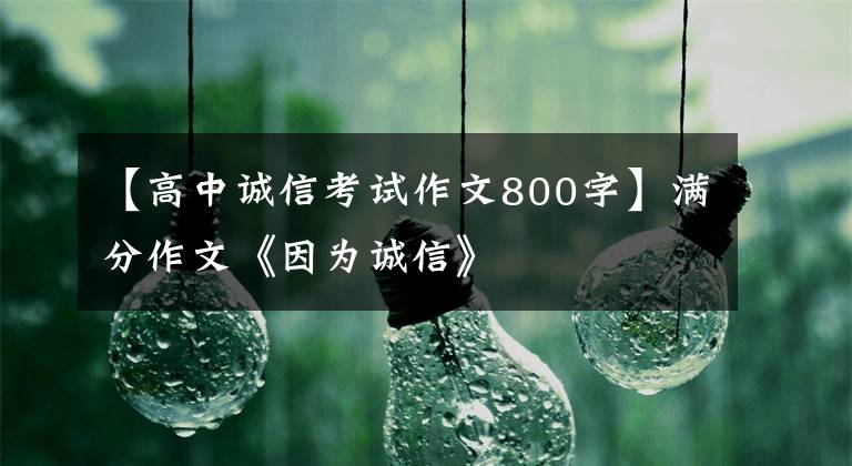 【高中誠信考試作文800字】滿分作文《因為誠信》