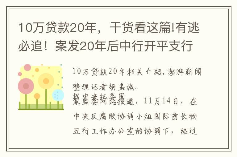 10萬貸款20年，干貨看這篇!有逃必追！案發(fā)20年后中行開平支行案3名主犯均已遣返回國