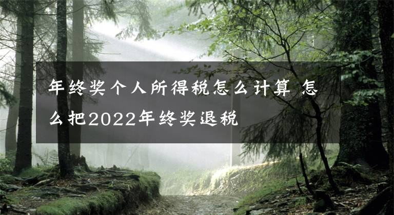 年終獎個人所得稅怎么計算 怎么把2022年終獎退稅