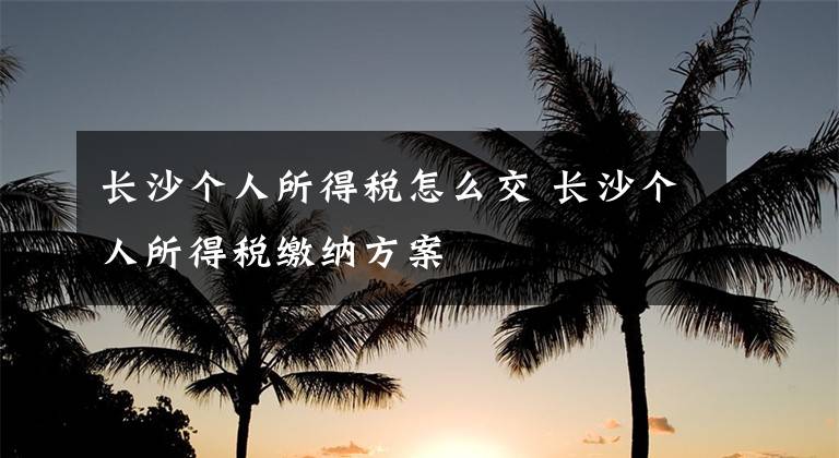 長(zhǎng)沙個(gè)人所得稅怎么交 長(zhǎng)沙個(gè)人所得稅繳納方案