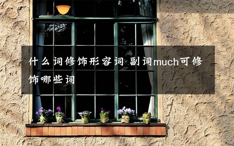 什么詞修飾形容詞 副詞much可修飾哪些詞