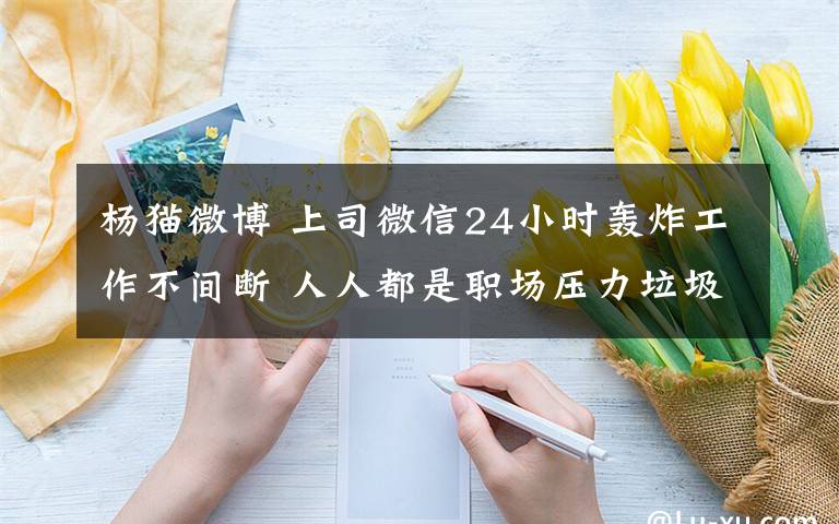 楊貓微博 上司微信24小時(shí)轟炸工作不間斷 人人都是職場壓力垃圾桶