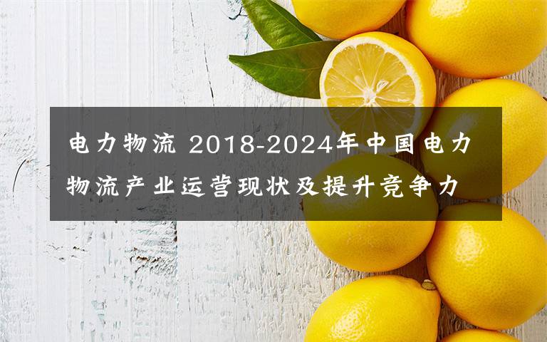 電力物流 2018-2024年中國電力物流產(chǎn)業(yè)運(yùn)營現(xiàn)狀及提升競爭力策略分析報告