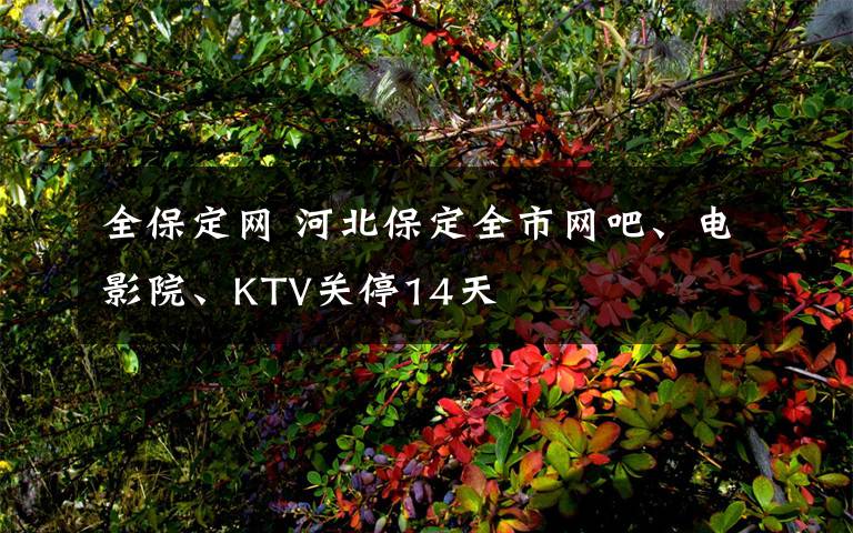 全保定網(wǎng) 河北保定全市網(wǎng)吧、電影院、KTV關(guān)停14天