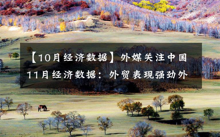 【10月經(jīng)濟(jì)數(shù)據(jù)】外媒關(guān)注中國(guó)11月經(jīng)濟(jì)數(shù)據(jù)：外貿(mào)表現(xiàn)強(qiáng)勁外儲(chǔ)十連漲