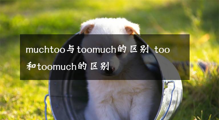 muchtoo與toomuch的區(qū)別 too和toomuch的區(qū)別