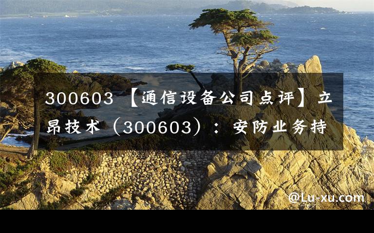 300603 【通信設(shè)備公司點(diǎn)評(píng)】立昂技術(shù)（300603）：安防業(yè)務(wù)持續(xù)快速增長(zhǎng)，外延并購?fù)貙挳a(chǎn)品范圍