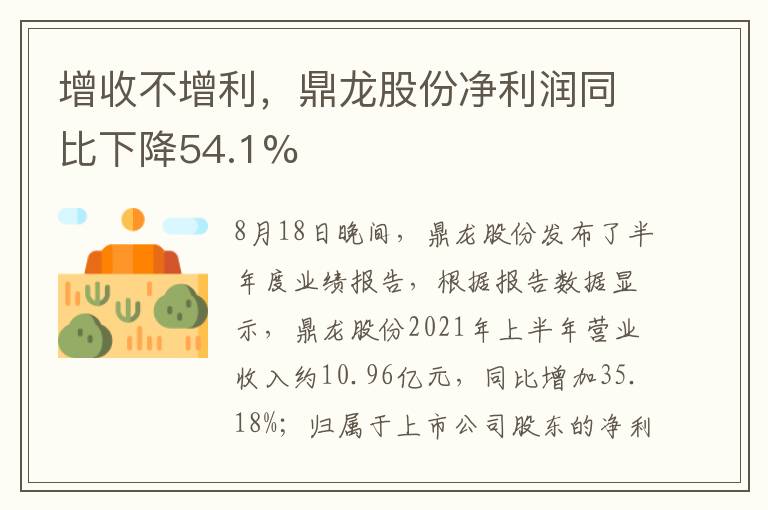 增收不增利，鼎龍股份凈利潤同比下降54.1%