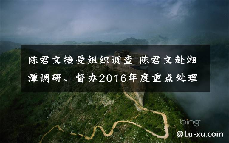 陳君文接受組織調查 陳君文赴湘潭調研、督辦2016年度重點處理代表建議