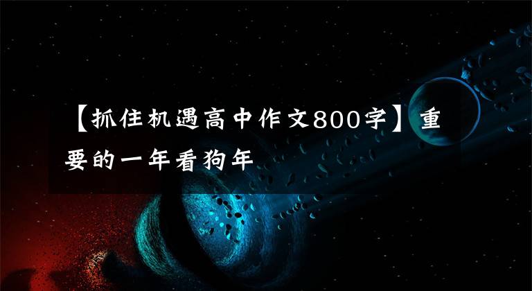 【抓住機(jī)遇高中作文800字】重要的一年看狗年