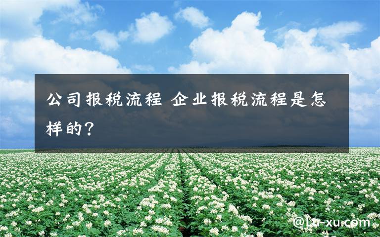 公司報稅流程 企業(yè)報稅流程是怎樣的？