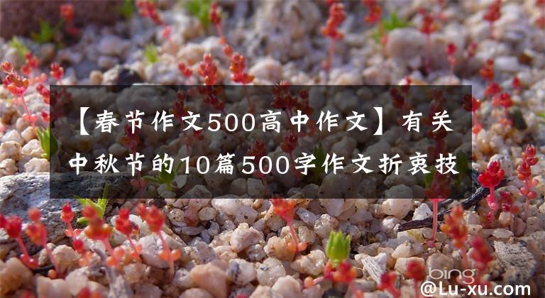 【春節(jié)作文500高中作文】有關(guān)中秋節(jié)的10篇500字作文折衷技藝一起提高了