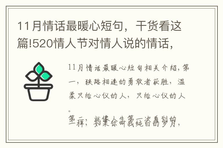 11月情話(huà)最暖心短句，干貨看這篇!520情人節(jié)對(duì)情人說(shuō)的情話(huà)，簡(jiǎn)短暖心，深情撩人！