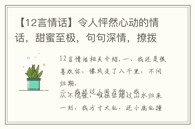 【12言情話】令人怦然心動的情話，甜蜜至極，句句深情，撩撥心弦