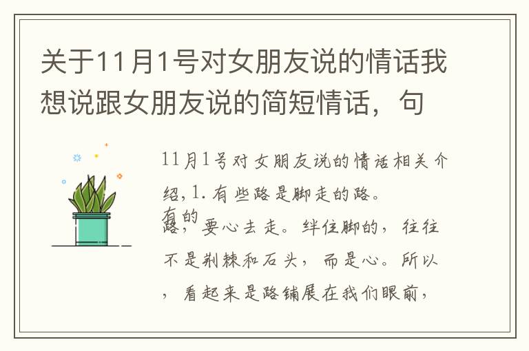 關(guān)于11月1號(hào)對(duì)女朋友說(shuō)的情話我想說(shuō)跟女朋友說(shuō)的簡(jiǎn)短情話，句句精美正能量，讓你恍然大悟