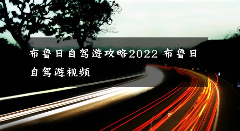 布魯日自駕游攻略2022 布魯日自駕游視頻