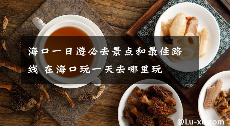 ?？谝蝗沼伪厝ゾ包c(diǎn)和最佳路線 在海口玩一天去哪里玩