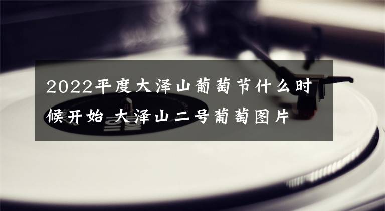 2022平度大澤山葡萄節(jié)什么時(shí)候開(kāi)始 大澤山二號(hào)葡萄圖片