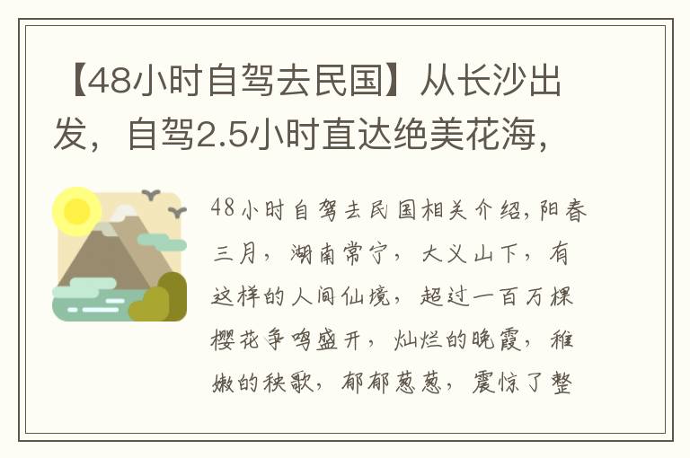 【48小時自駕去民國】從長沙出發(fā)，自駕2.5小時直達(dá)絕美花海，滿足對春天的所有想象