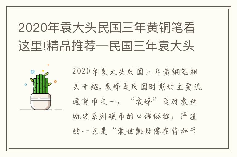 2020年袁大頭民國三年黃銅筆看這里!精品推薦—民國三年袁大頭