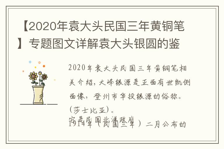 【2020年袁大頭民國(guó)三年黃銅筆】專題圖文詳解袁大頭銀圓的鑒定方法和技巧