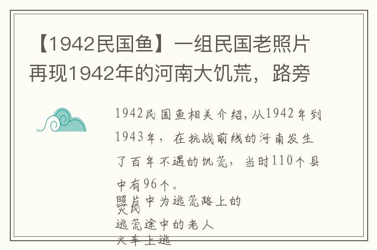 【1942民國(guó)魚】一組民國(guó)老照片再現(xiàn)1942年的河南大饑荒，路旁樹皮都被扒下吃光