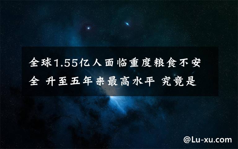 全球1.55億人面臨重度糧食不安全 升至五年來(lái)最高水平 究竟是怎么一回事?