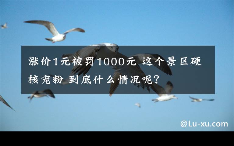 漲價(jià)1元被罰1000元 這個(gè)景區(qū)硬核寵粉 到底什么情況呢？